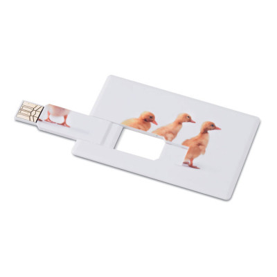 Pendrive USB 16GB tarjeta...